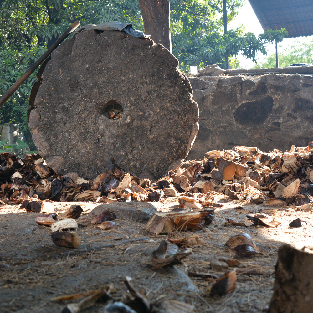 A large, circular stone wheel with a central hole rests on the ground amidst scattered pieces of cooked agave piñas.